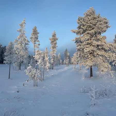 Lägenhet Kelo - Casual Luxury In Lapland, Salla